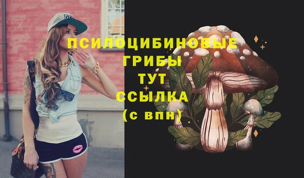 скорость Алзамай